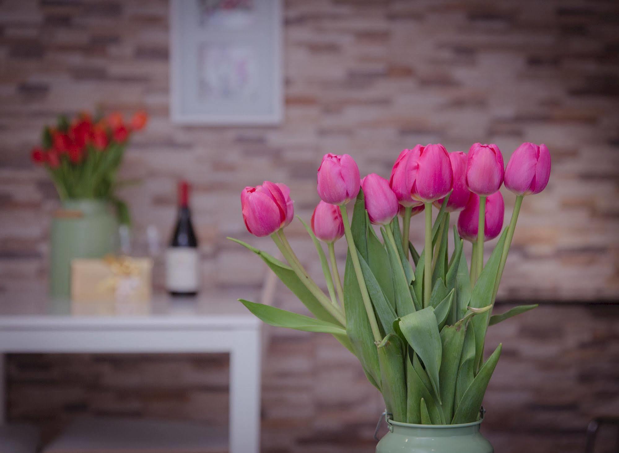 Shenkin Vilmar Apartments Tel Aviv Ngoại thất bức ảnh